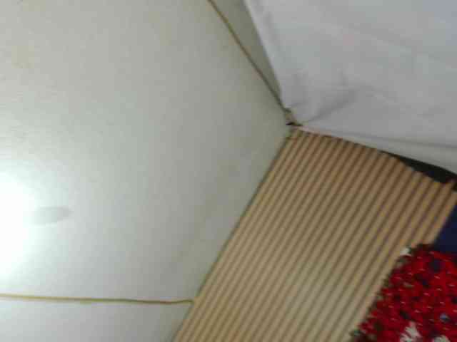 rosse2504 webcam