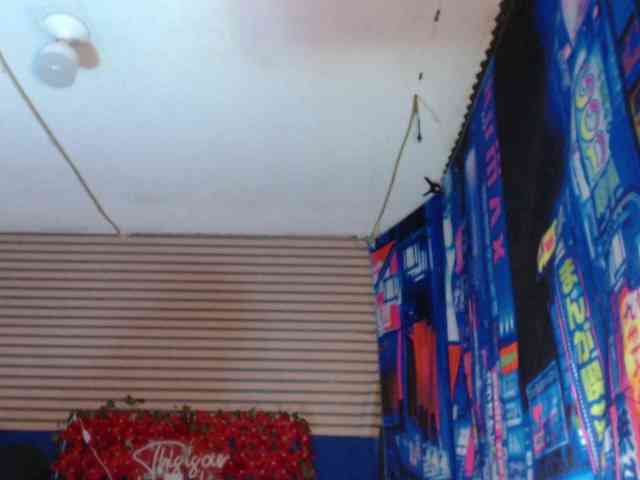 rosse2504