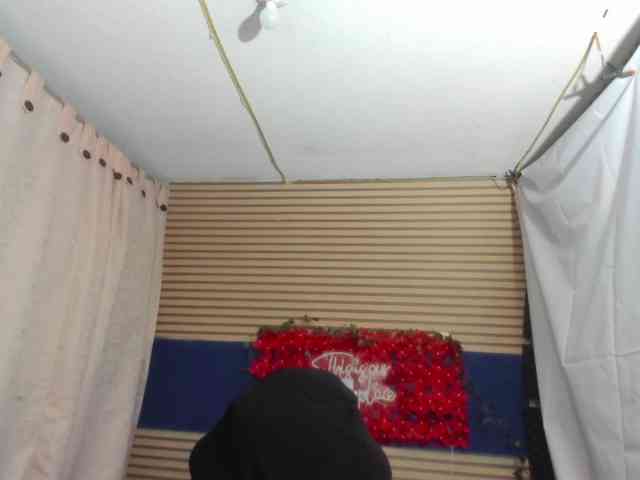 rosse2504