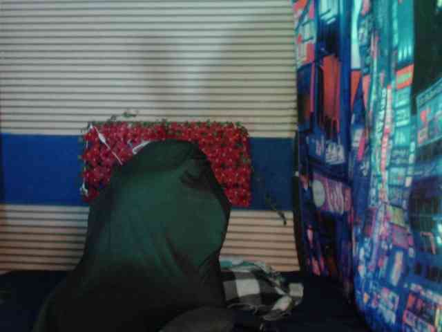 rosse2504