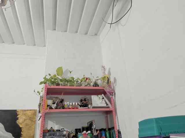 mariecam420