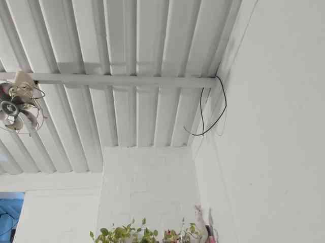 mariecam420's live room