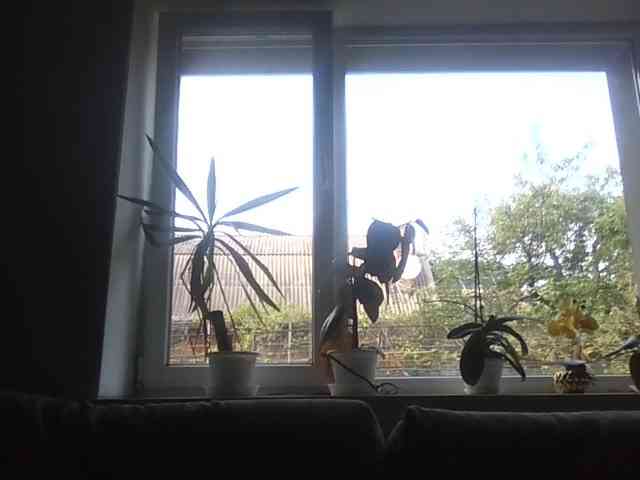 Gilicianka webcam