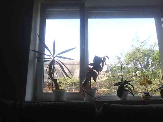 Gilicianka webcam