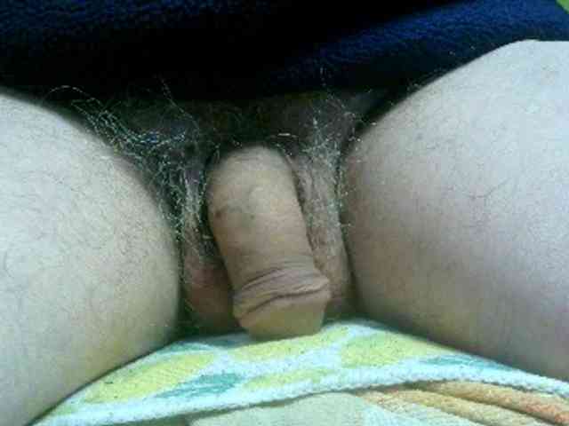 fedot11112 fedot11112