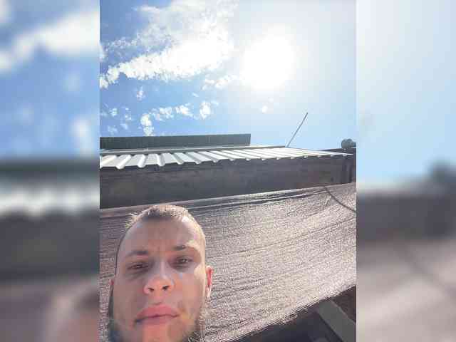 BALD1NO1