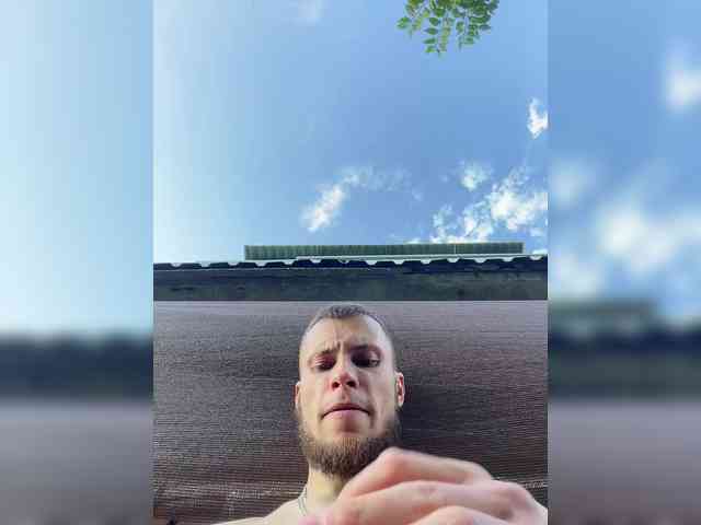 BALD1NO1