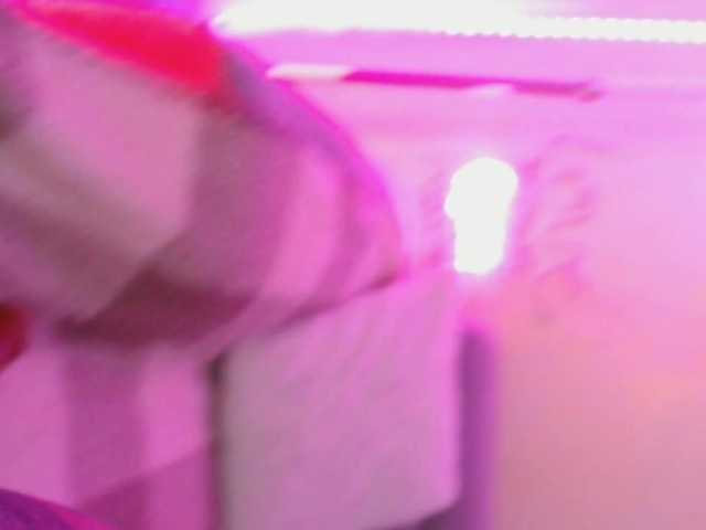 LaylaCruz live cam on BongaCams