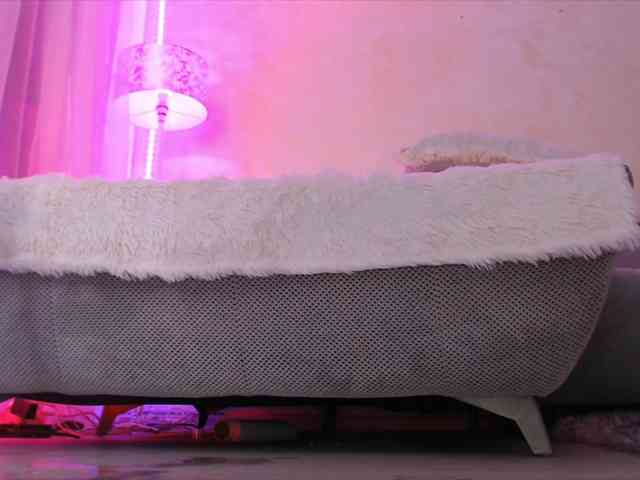 LaylaCruz webcam