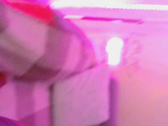 LaylaCruz