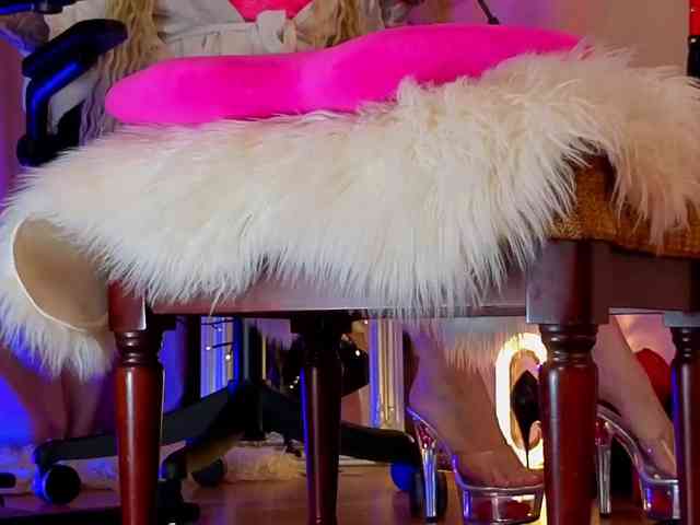 your-amazon4rever-wild