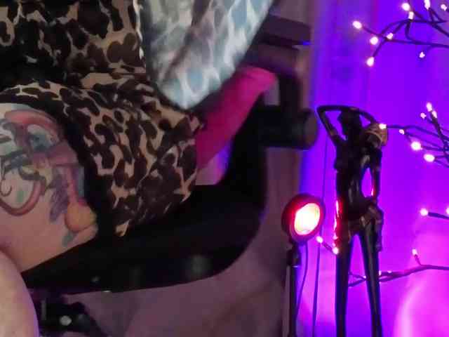 your-amazon4rever-wild webcam