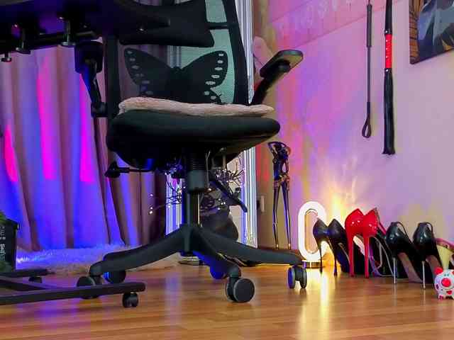 your-amazon4rever-wild