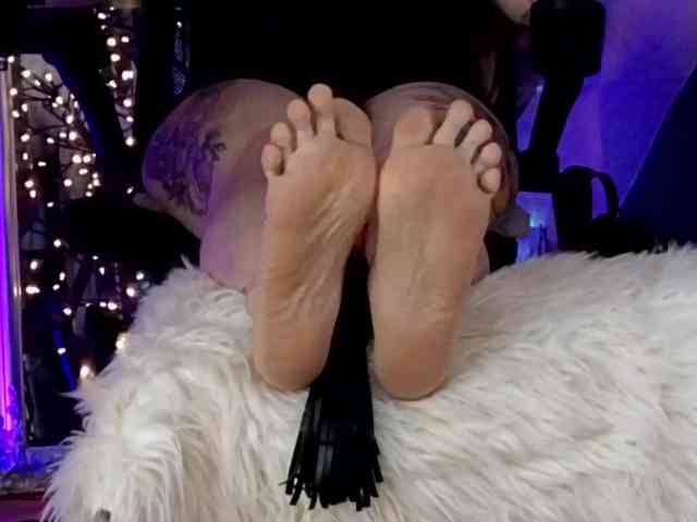 your-amazon4rever-wild webcam