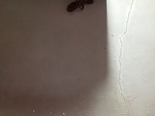 HEARTQUEEN Porn Show