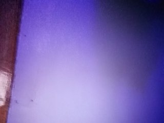 HEARTQUEEN Porn Show