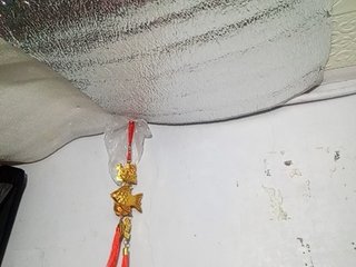 Smithsophie Porn Show