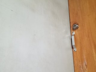 Smithsophie Porn Show