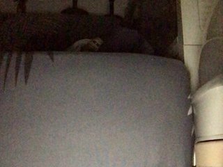 HEARTQUEEN Porn Show