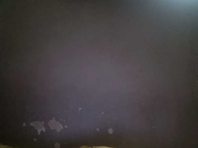 Pempemliciouss