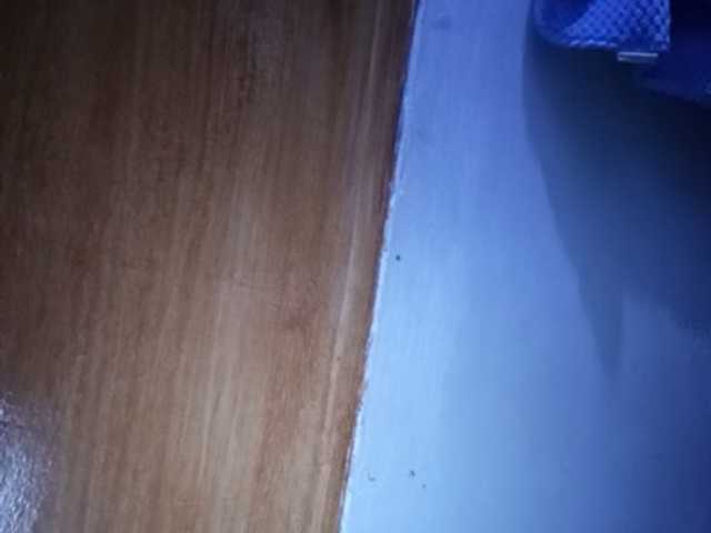 Pempemliciouss