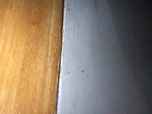 Pempemliciouss