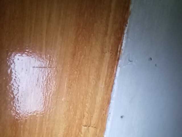 Pempemliciouss