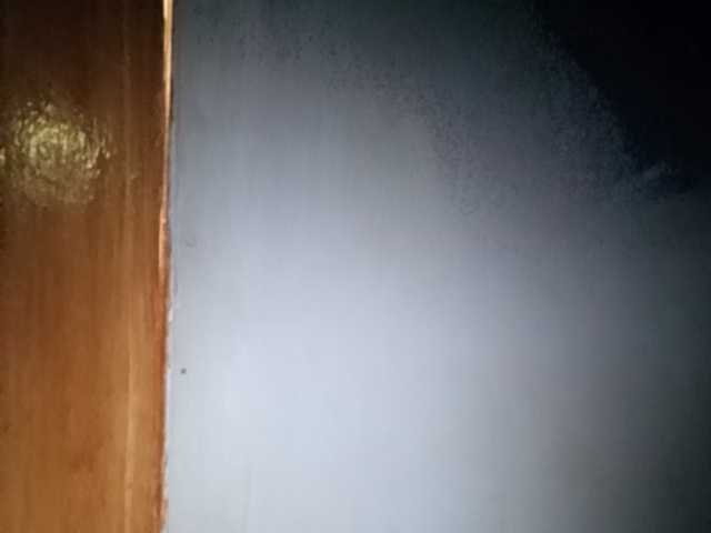 Pempemliciouss