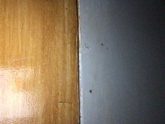 Pempemliciouss