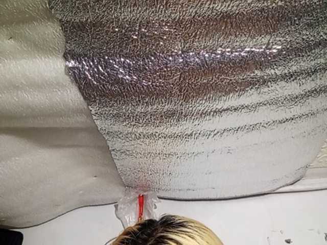 Smithsophie live webcam show