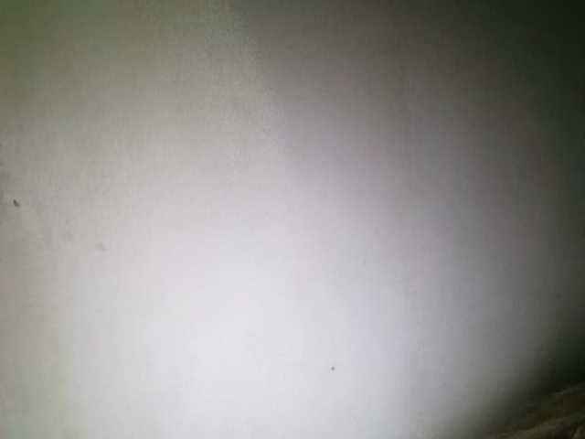 Pempemliciouss