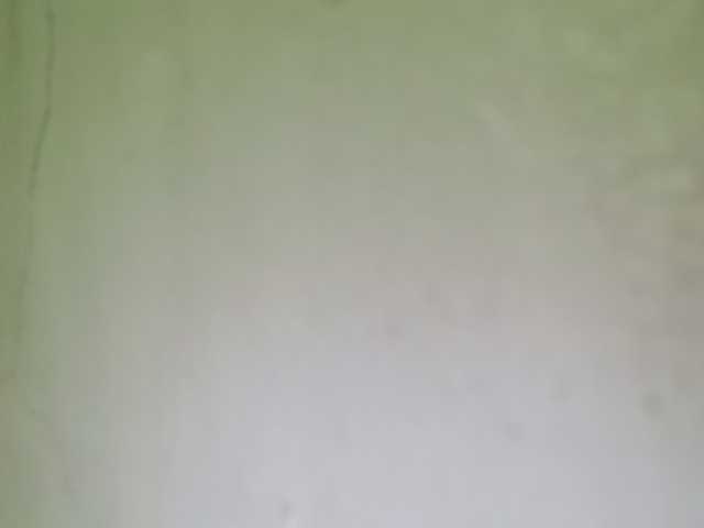 Pempemliciouss