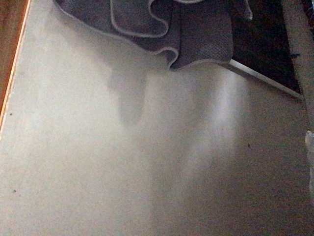 Preview of smithsophie