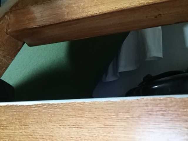 Smithsophie live cam