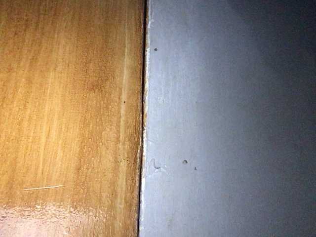 pempemliciouss live sex