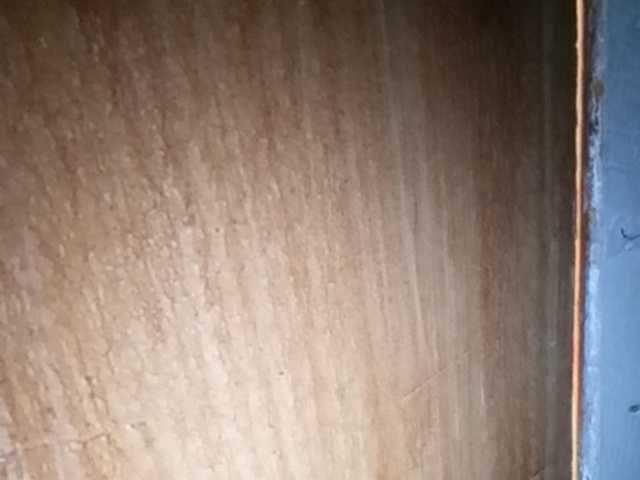 Pempemliciouss