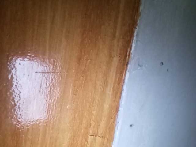 Pempemliciouss