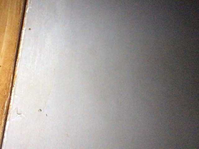 Pempemliciouss