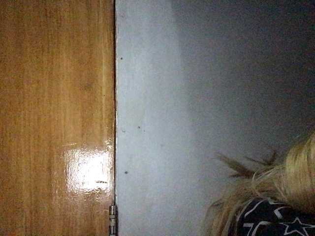 Preview of smithsophie