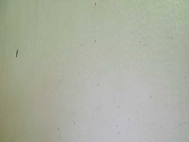 Pempemliciouss live webcam show