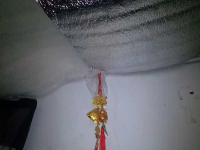 Pempemliciouss live webcam show