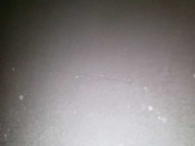 Pempemliciouss