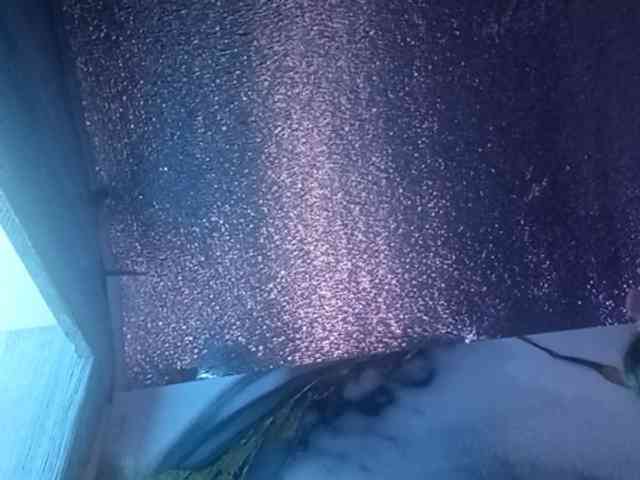 Pempemliciouss Pempemliciouss