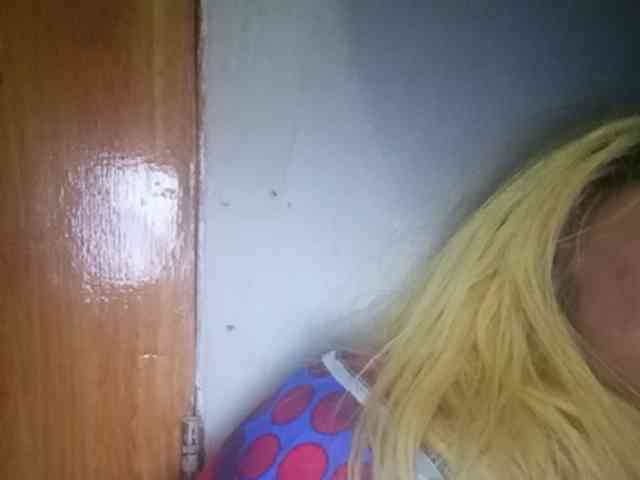 Smithsophie webcam
