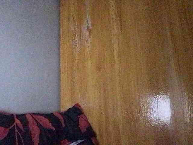 Smithsophie webcam