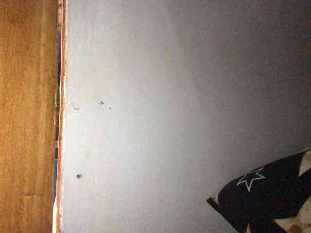 Smithsophie webcam