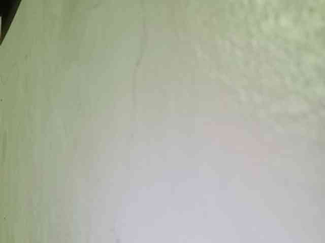 Smithsophie webcam