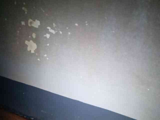 Smithsophie webcam