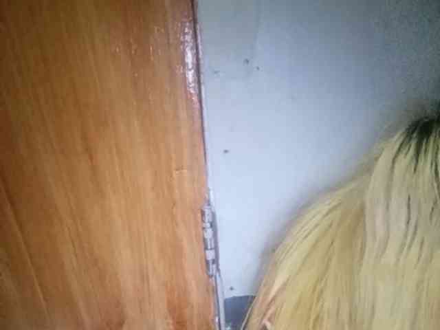 Smithsophie webcam