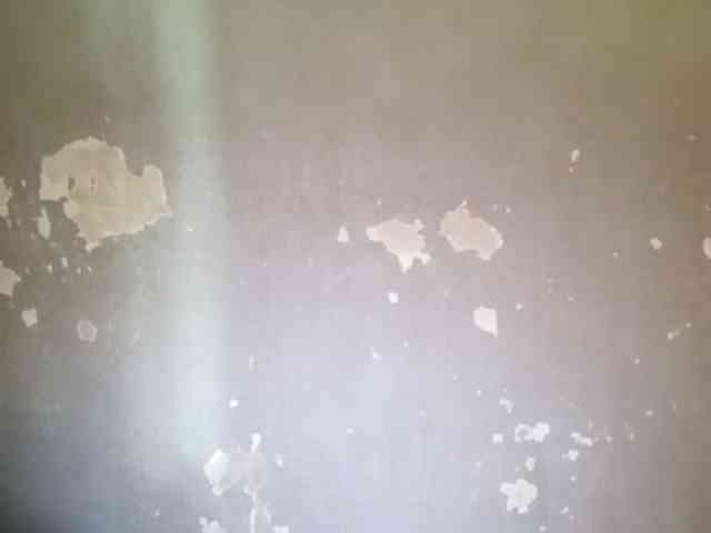 Smithsophie webcam